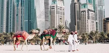Нацперевозчик сокращает новогоднюю полетную программу в ОАЭ